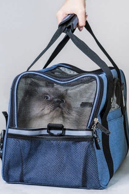 Evcil Hayvan Transferi